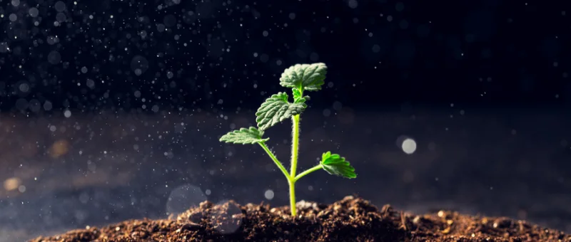 1615950177998647.jpg?x-oss-process=style/resize 微信图片_20210310165727.jpg?x-oss-process=style/resize