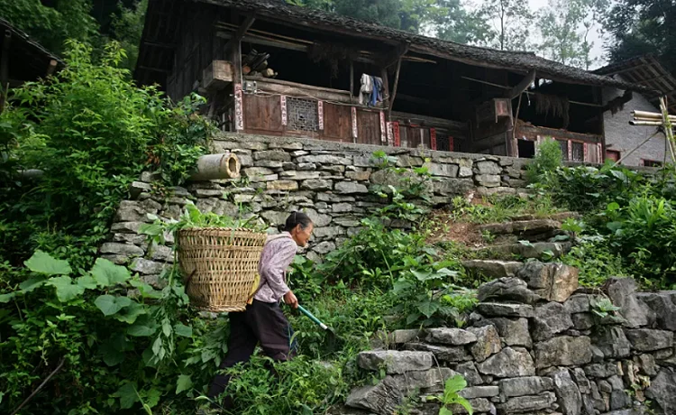 图片1.png?x-oss-process=style/resize