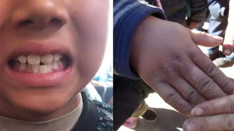 1643357432167534.jpg?x-oss-process=style/resize